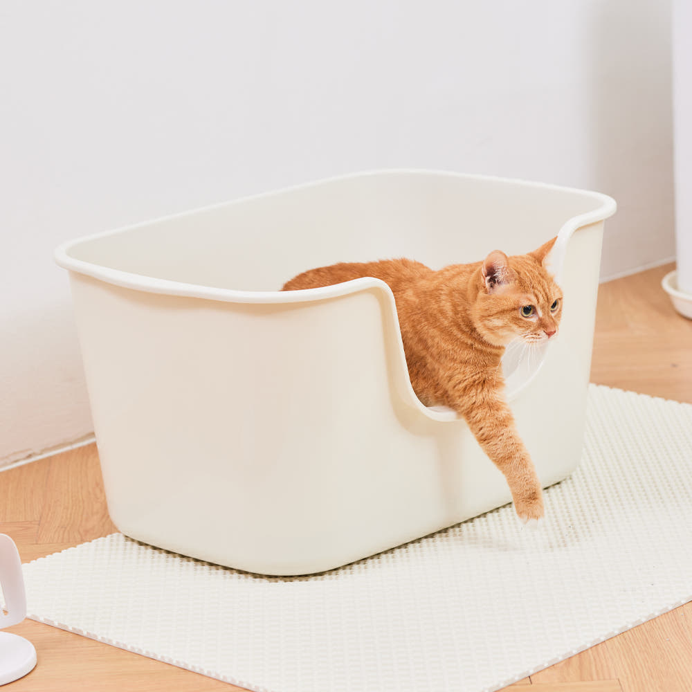 화장실에서 나오는 고양이