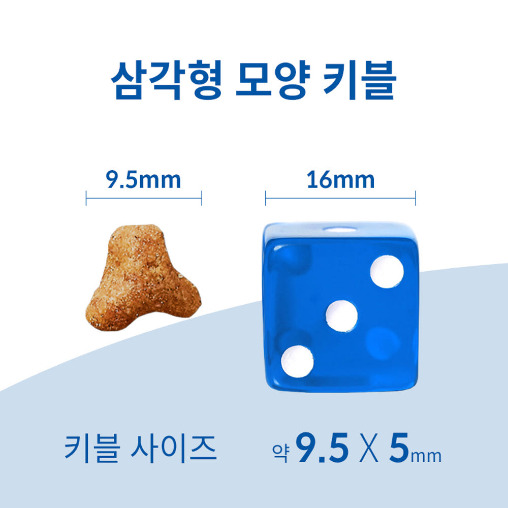 삼각형 모양 키블 크기