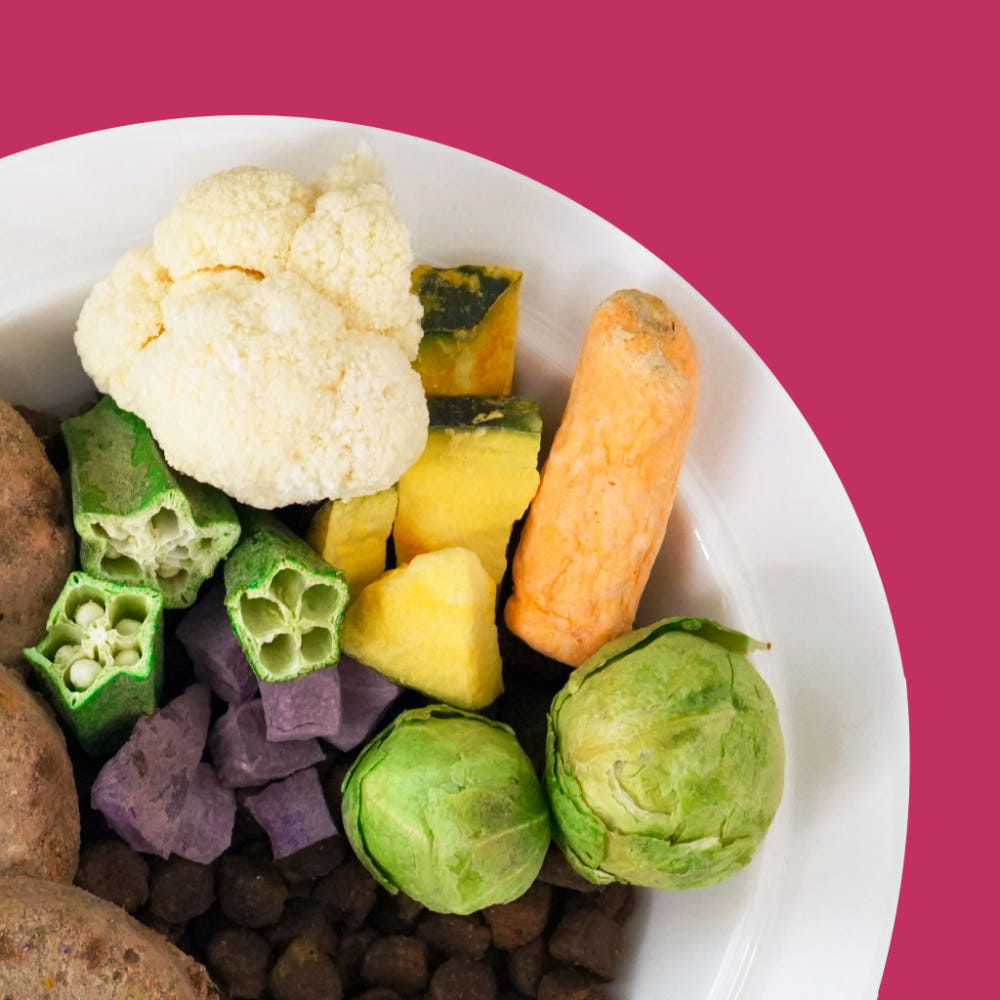 사료 위에 올린 동결건조 채소
